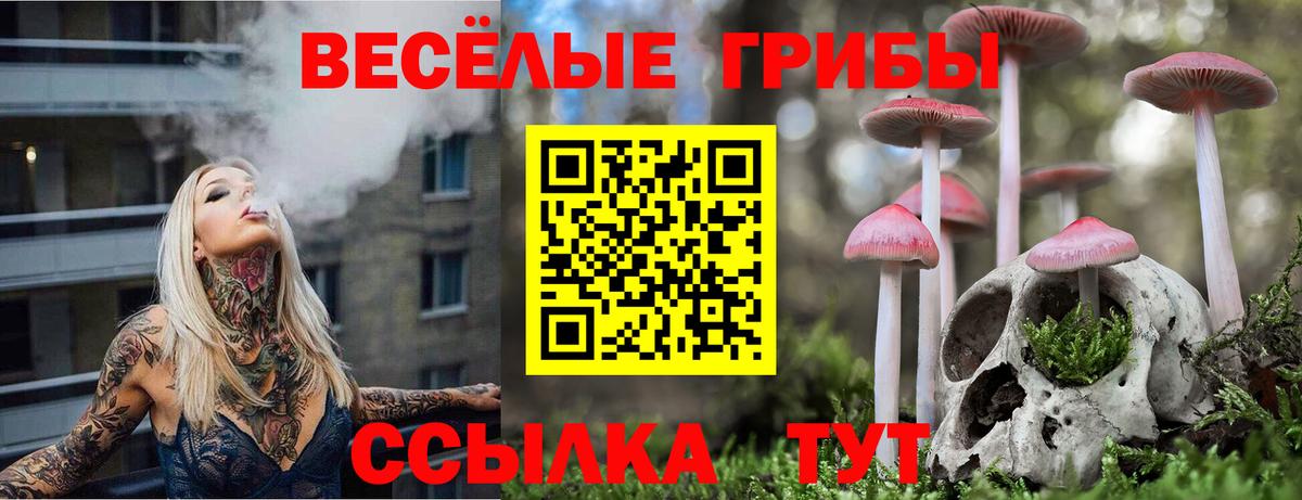 Галлюциногенные грибы GOLDEN TEACHER Алатырь