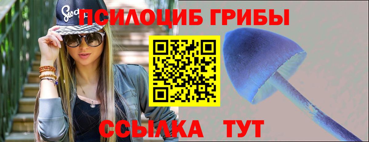 Псилоцибиновые грибы Psilocybe  Вход с VPN  где купить наркоту  Алатырь 